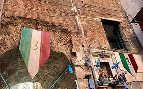 Anticaglia 13